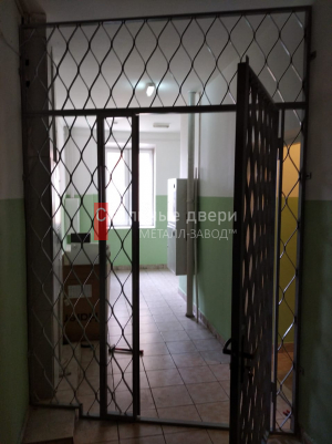 Фото двери №50