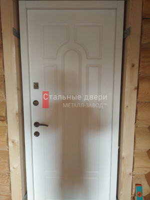 Фото двери №133