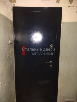 Фото двери №383