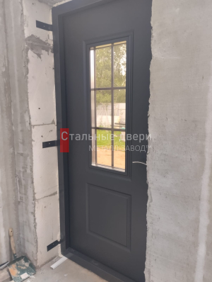 Фото двери №420